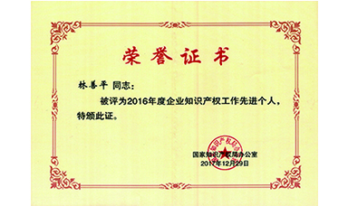林善平榮獲國家“企業(yè)知識產(chǎn)權(quán)工作先進(jìn)個(gè)人”